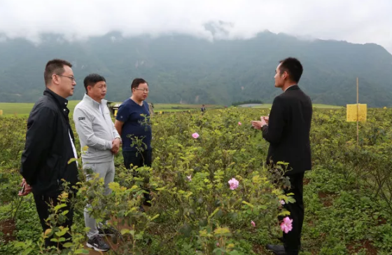 中共攀枝花市东区委员会领导及攀钢集团领导一行到恒益集团进行考察交流