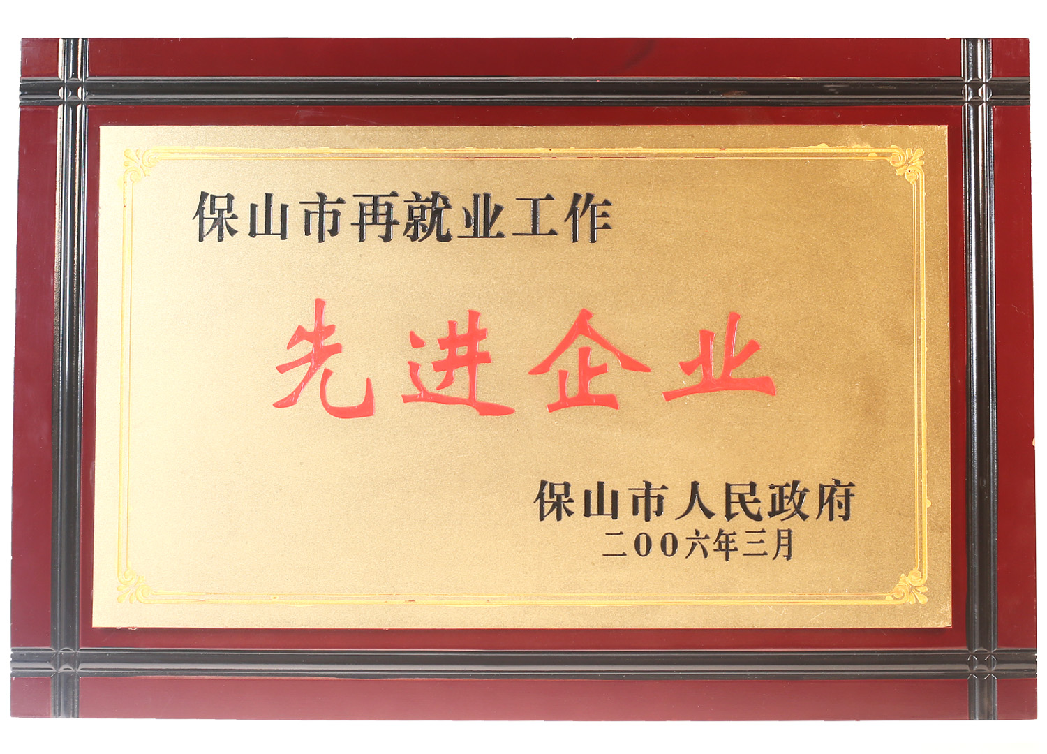 被保山市人名政府授予“先进企业”称号