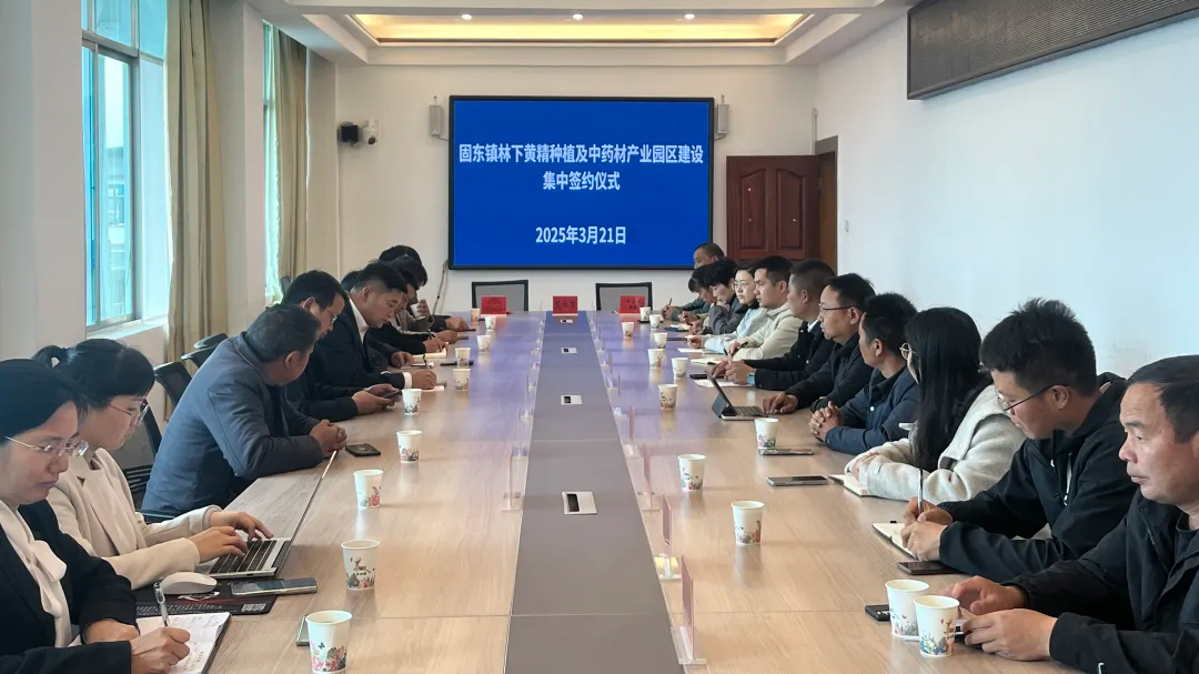 政企携手绘蓝图 林下经济助振兴
